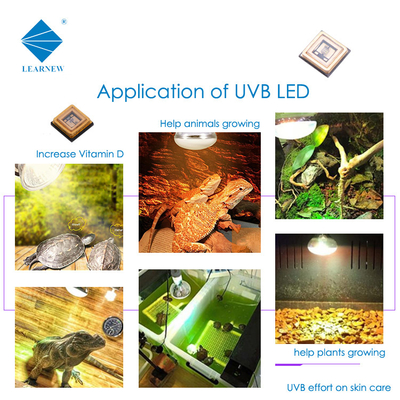Foto-sensibile 3W 3535 UVB LED Chip 320nm 315nm 306nm 340nm per la cura e il rivestimento