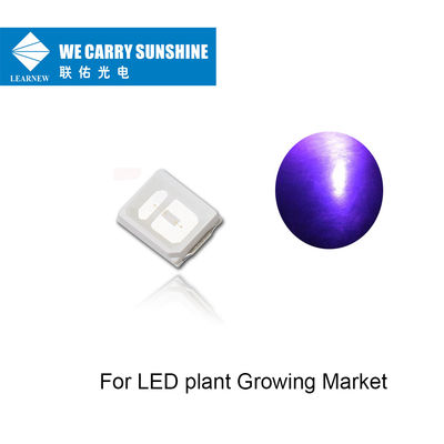 La portata UVA di lunga vita ha condotto il chip UV di 395-405nm 150-200mW LED per la crescita della pianta del LED