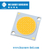 PANNOCCHIA Chip For Tracking Light Streetlight di 28x28mm 2700-6500K 120-140LM/W LED