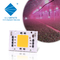 Full Spectrum AC 50w LED COB Chip 200v 240v 4046 AC LED Chip per la luce di crescita