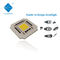 25*25mm 100 PANNOCCHIA del chip 120DEG 110V LED della PANNOCCHIA LED di watt per la luce del paesaggio