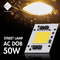 La PANNOCCHIA 30-50W 3000K 6000K di CA di AC200-240V LED per la crescita all'aperto si accende