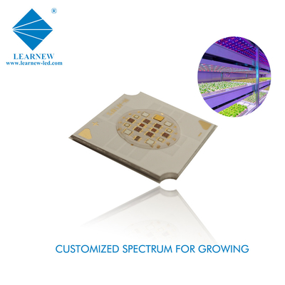 Lampade di crescita a LED personalizzabili per piante interne 9w 120DEG Learnew Opto