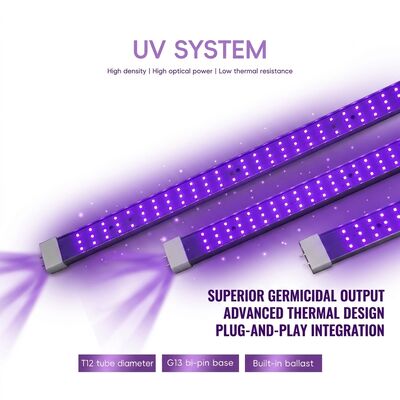 Soluzioni UVC 365nm 370W 100W 120W Lampada germicida UV Fornitori Lampada eccimera UVC