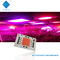 Chip Driverless 380-780nm della PANNOCCHIA LED di CA 110V 220V 50W 100W per la crescita/iluminazione pubblica