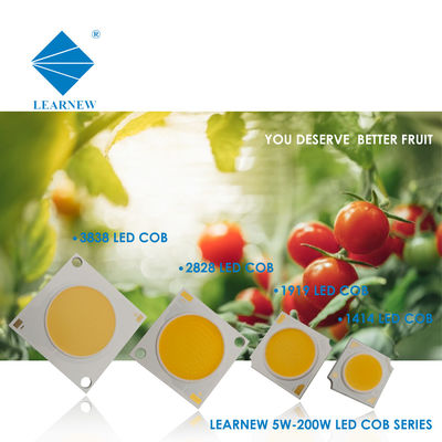 LED COB per lampada da parete e proiettore