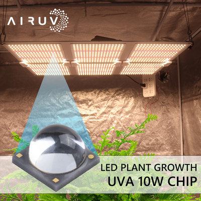 10W 365nm 385nm 395nm 6-7V Uva 3W ha condotto il trattamento UV di Chips For