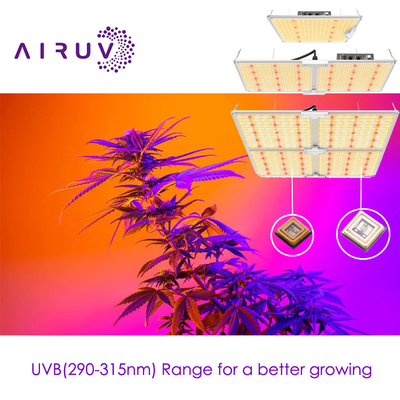 10w 20w 100w UVA UVB UVCLED COB Alta efficienza 365nm 385nm 395nm LED conveniente