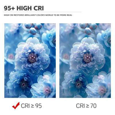 Bi Color 300W 6060 Potenza elevata COB Led Chip High Out Put Per Illuminazione Film