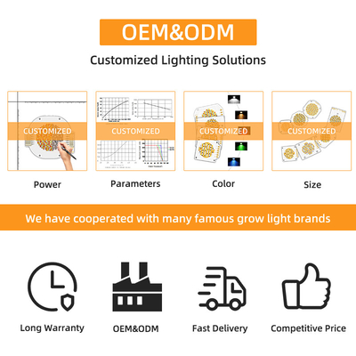 CCT COB LED regolabile 195-205V 2500K 6500K LED a doppio colore 300W + 300W High CRI LED Chips 6060