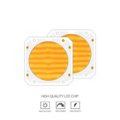 OEM ODM lunghezza d'onda BI Colore 205V SMD LED chip Bianco caldo + bianco 6060 SMD LED chip Emittente