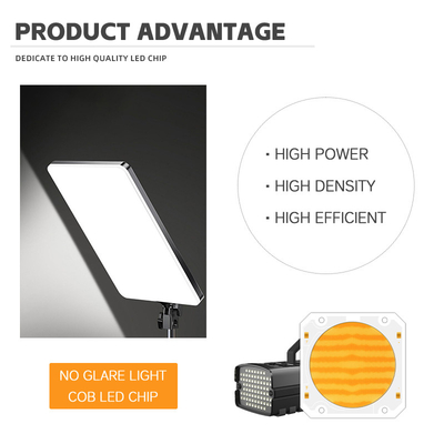 OEM ODM lunghezza d'onda BI Colore 205V SMD LED chip Bianco caldo + bianco 6060 SMD LED chip Emittente