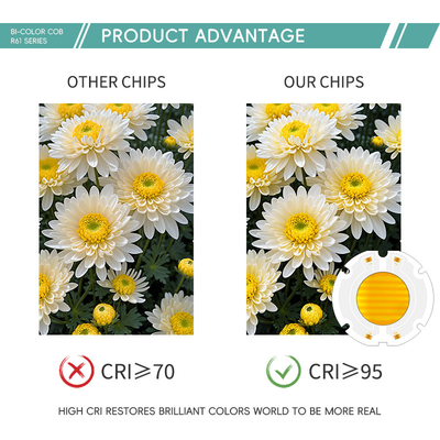 Prezzo di fabbrica 60X60MM Bi Color LED Chip SMD LED Panel Full RGB Color Beads 200W Chip
