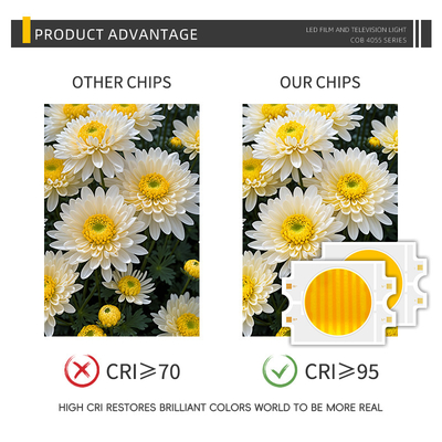 Potenza LED personalizzata 300W Bicolore Caldo + Bianco Freddo 4055 Bicolore Due CCT CRI95 COB LED Chip
