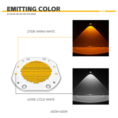 Modulo LED COB personalizzato ad alta resa cromatica, potente, 200W, 300W, 500W, 600W, 700W, 1200W, Chip LED, Scheda LED
