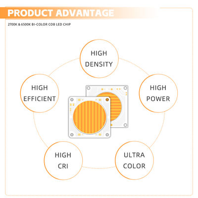 57V sorgente luminosa 150W 200W tensione costante caldo bianco bicolore supporto all'ingrosso opzionale