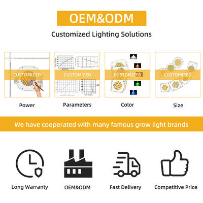 57V sorgente luminosa 150W 200W tensione costante caldo bianco bicolore supporto all'ingrosso opzionale