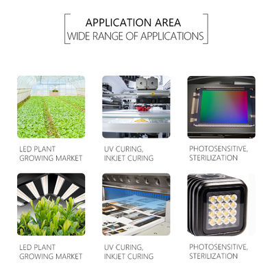 Chip LED UV SMD 3535 3838 8025 personalizzabile 220-420nm 5 anni di garanzia
