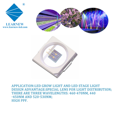 1W SMD 3030 440nm 450nm 460nm 470nm LED Blu Growlights Chip Pure Gold Wire EPILED 35mil Chips 300mA 3,0-3,4V Alti diodi PPE