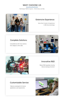 Advanced 365nm 385nm 395nm High Power UVA LED SMD6868 10W High Lumen 6.0-7.0V Luce UV per la crescita delle piante in serra