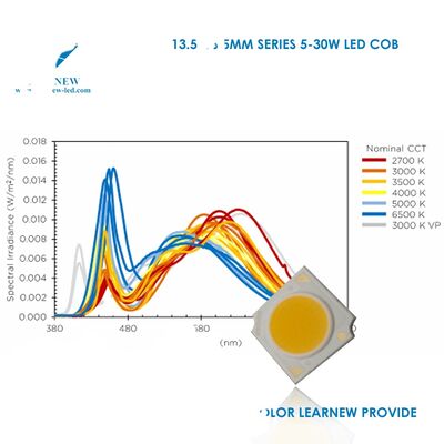 LED Flood Light Bianco Colore 3000K/4000K/6000K Alta Potenza 10W/15W COB LED Dimmabile 120 angolo di visione Garanzia di 3 anni