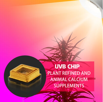 Beauty UVB 3W Chip 315nm Prezzo di fabbrica 3535 LED Diodo SMD 311nm 500mA Lampada abbronzante LED Diodo SMD 306nm 295nm 110mW
