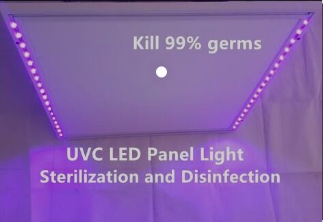 1W 225nm UVC Raccogliere 233.8nm Led Potenza ottica 2-3mW 6-8V 150mA SMD 3.8mm UV-C LED Diodo 60° Lente a cupola