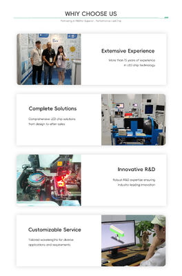 Shenzhen Manufacture High Power LED SMD 5050 Tipo 5w 10w 18w Luce a LED per lampada stradale e torcia a LED