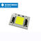 PANNOCCHIA LED 4000k LED Chip Full Spectrum 90-100lm/W di Flip Chip 30W