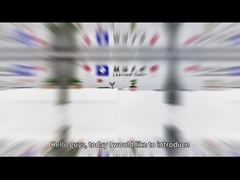 Serie di chip LED COB a due colori