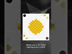 3838 LED COB a doppio colore